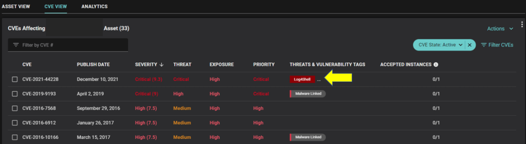 A prioritized list of CVEs including a software component vulnerability