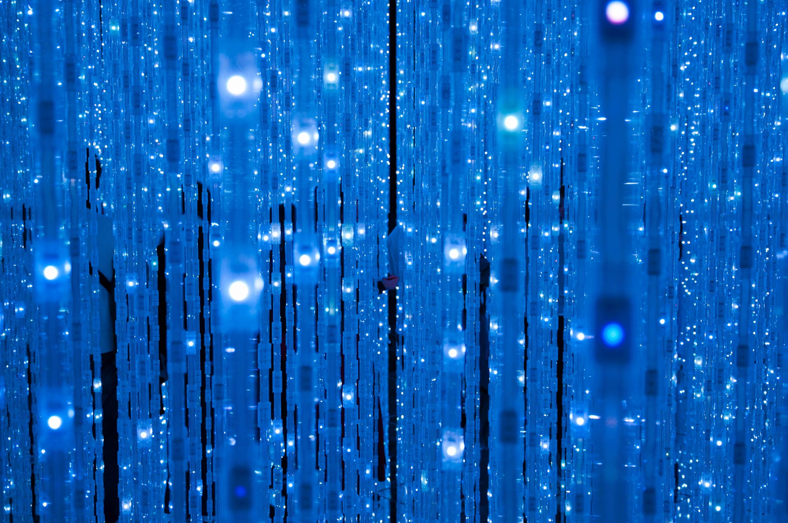 AI in cybersecurity