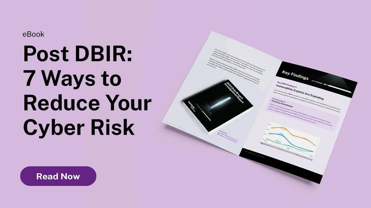 DBIR Resource Page
