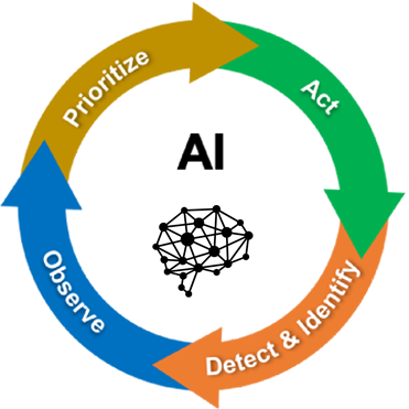 circle graph