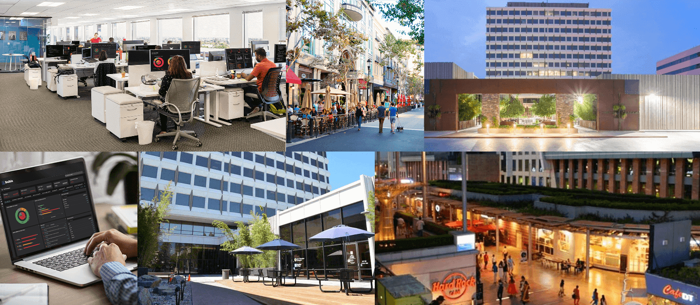 Students and Recent Grads Collage