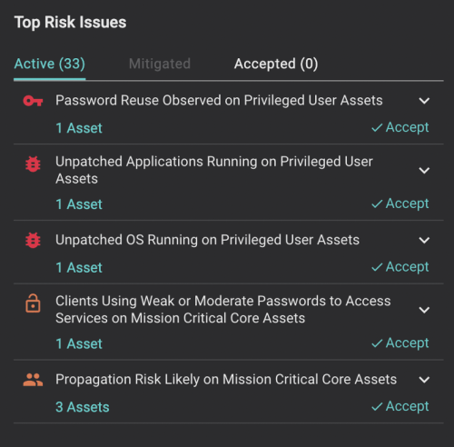 Identifying your top risk issues helps your prioritize vulnerabilities across your attack surface